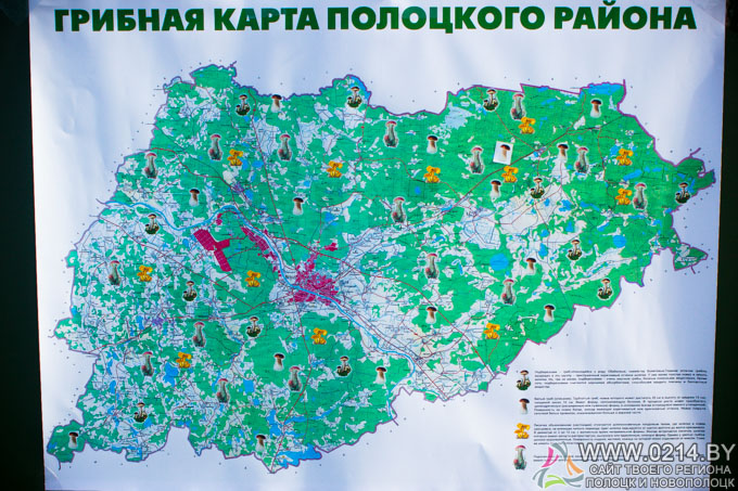 Спутниковая карта полоцкого района в реальном времени