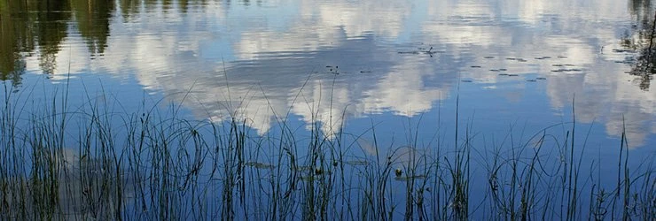 Трагедии на воде