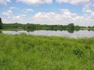 На озёрах Гомель, Яново, Суя и Щаты купаться запрещено