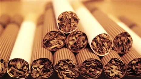 За воскресенье из Беларуси контрабандой пытались вывезти сигареты на сумму 11 тыс. долларов США