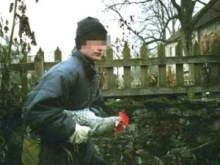 БОМЖ украл у пенсионерки 5 куриц