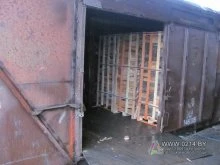 Полоцкие пограничники задержали крупнейшую контрабанду сигарет (+фото)