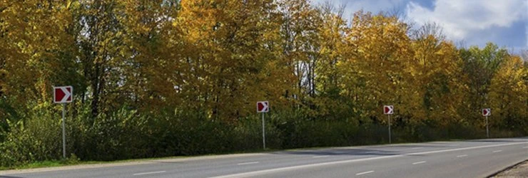 Президент Беларуси поручил высадить сосны вдоль автодорог