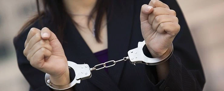 Директор Полоцкой фирмы присвоила активы учредителя стоимостью более 1 млрд рублей