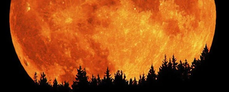 Сегодня белорусы смогут увидеть полное лунное затмение и суперлуние