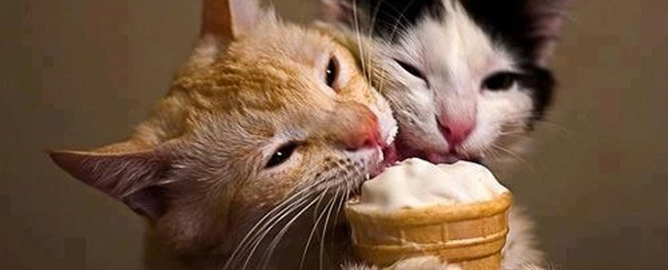 На неделю в Беларусь вернется лето