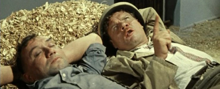 «Тунеядцы» могут трудиться на принудительных работах не более 8 часов в день