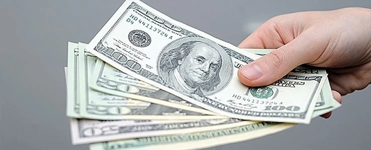 Житель Новополоцка осужден на 11 лет за 48 тысяч фальшивых долларов