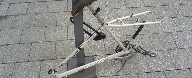 В Новополоцке служебная собака нашла похитителей велосипедов