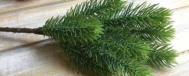 В Полоцке собираются купить ёлку за $27000