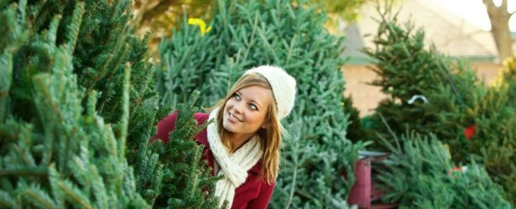 В Полоцке пройдут рождественские и новогодние базары