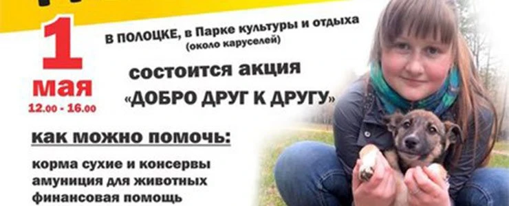 1 мая в Полоцке приют «Друг» бесплатно раздаст животных