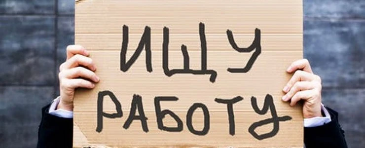 Обзор рынка труда в Полоцке и Новополоцке