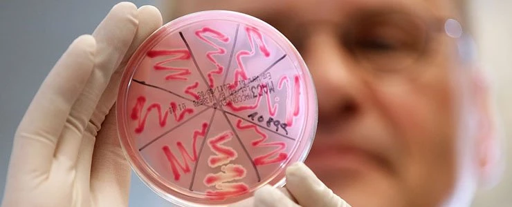 В новополоцкой гимназии вспышка инфекции. На занятия не пришли 70 учеников