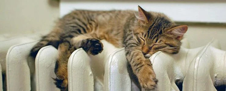 В Полоцке и Новополоцке завершился отопительный сезон