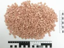 Крупная партия экстази обнаружена у полочанина