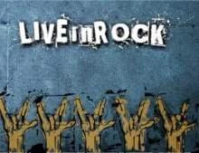 Музыканты из Новолукомля стали победителями VI рок-фестиваля «LIVEinROCK 2012»