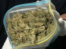 В Полоцке задержали мужчину с марихуаной