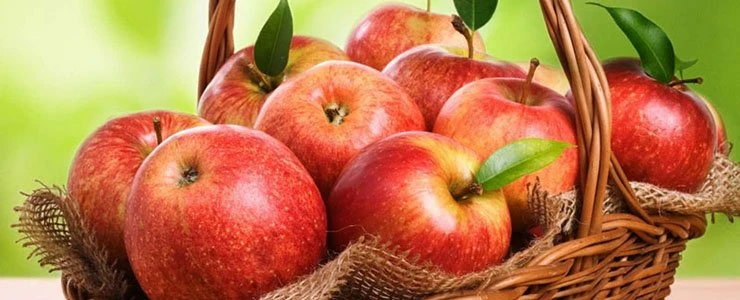 Завтра пройдёт «Яблочный Спас в Полоцке-2017»