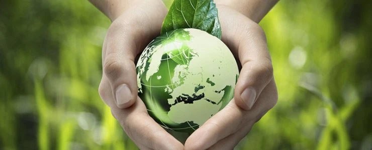 Под Новополоцком пройдёт экологический фестиваль «Родник здоровья»