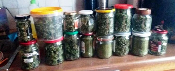 У жителя Новополоцка нашли более 2 килограммов марихуаны