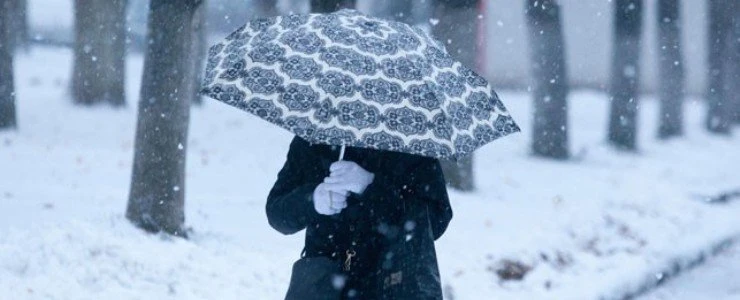 В Беларуси за прошлую ночь выпало больше всего снега в Полоцке и Витебске