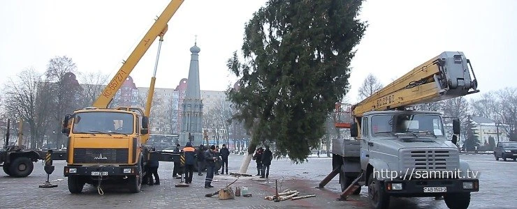 На главной площади Полоцка установили новогоднюю елку