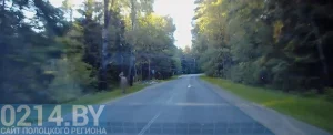 Под Полоцком вдоль дороги гулял голый мужчина