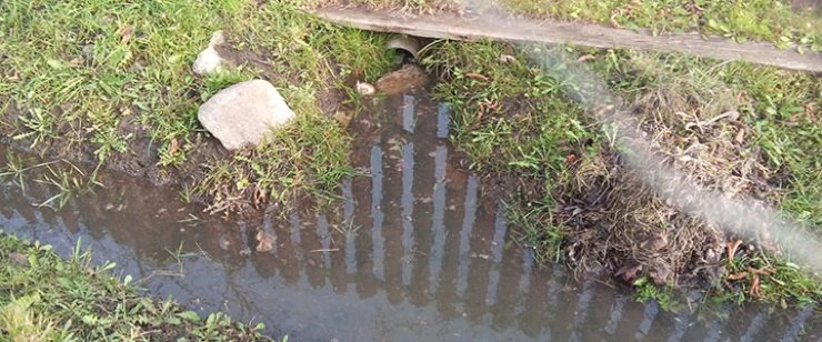 В Полоцке дождь затопил участок