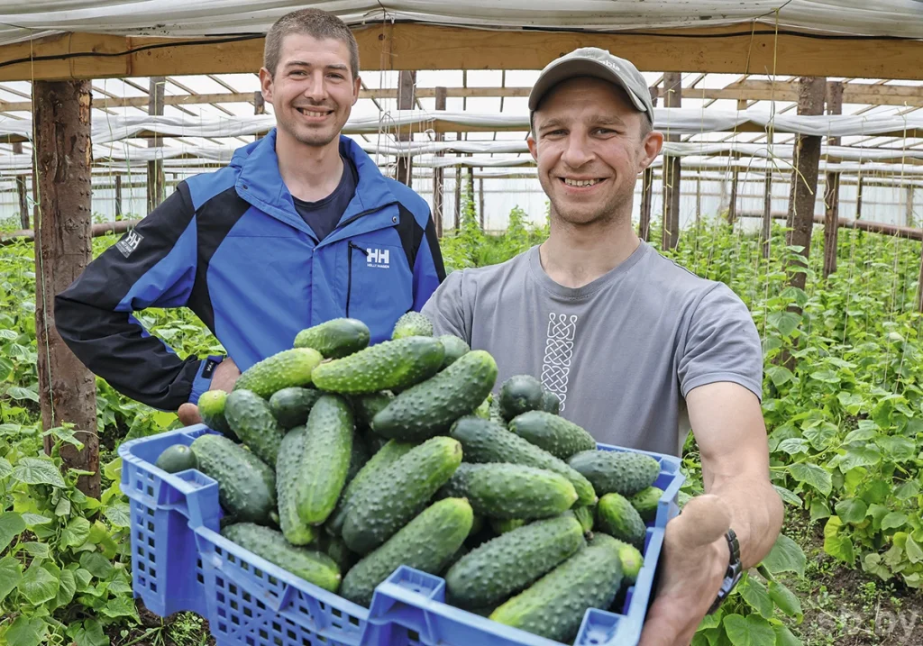 Спали в теплице, похудели на 10 кг. Друзья из Полоцка превратили заросший участок в парниковое хозяйство