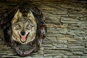 Фото Никиты Алексеенко