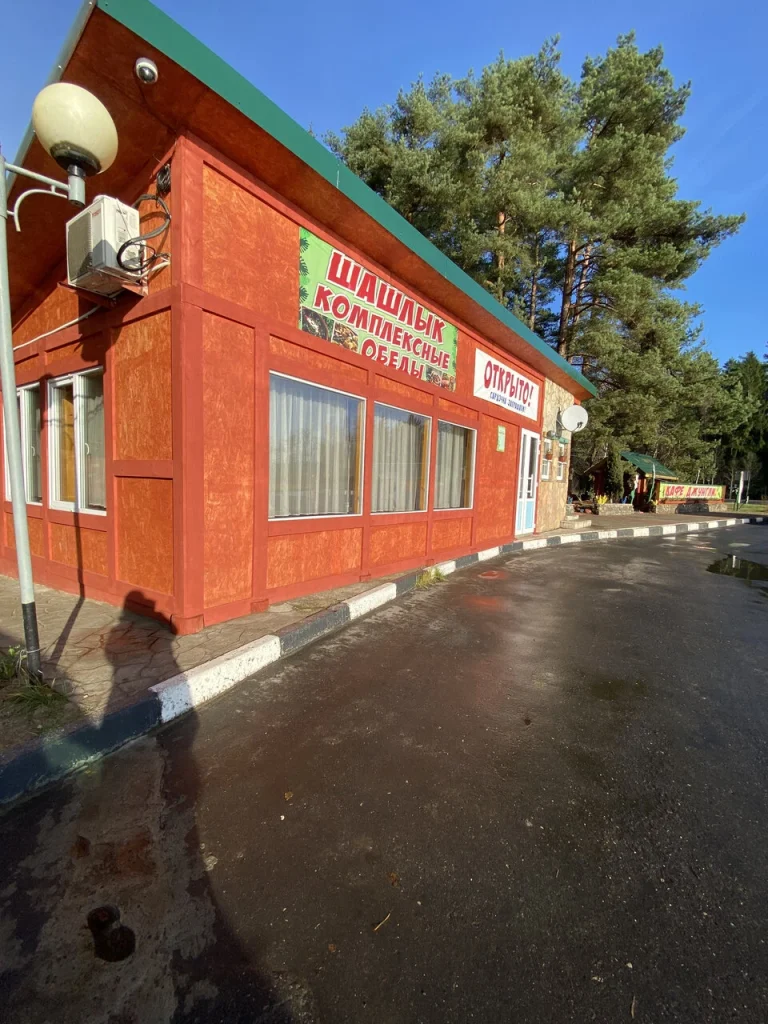 Кафе «Джунгли»