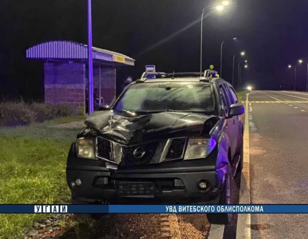 В Полоцком районе на трассе Р-46 погиб пешеход