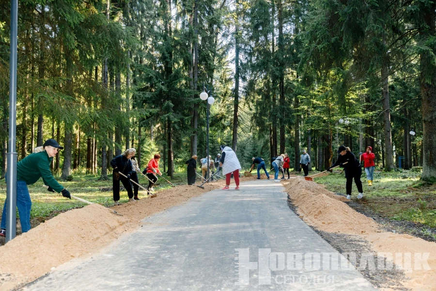 Новополоцк готовится к открытию обновленной лесопарковой зоны: жители приняли участие в масштабной акции
