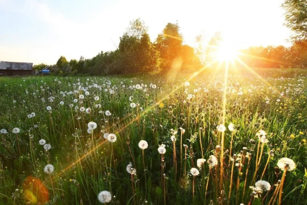 Прогноз погоды в Полоцке и Новополоцке на 29–31 августа: тёплые выходные с дождями