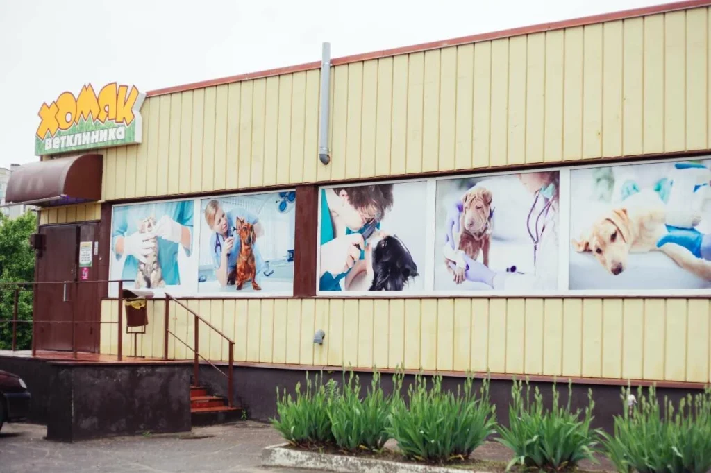 Ветеринарная клиника «Хомяк»