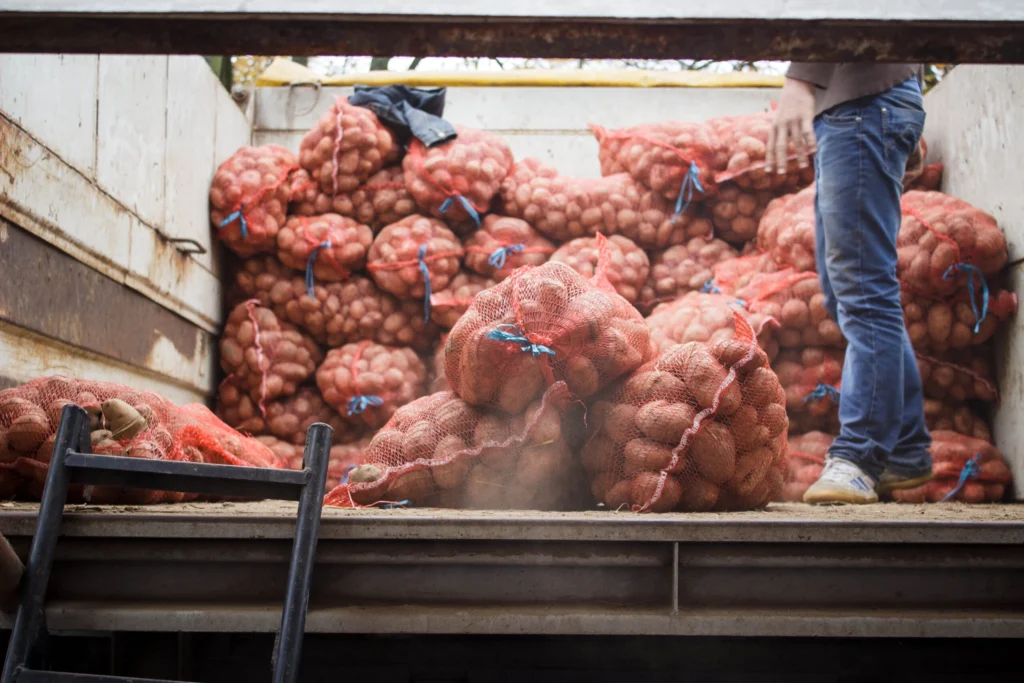 В Новополоцке 11 октября состоится расширенная осенняя ярмарка