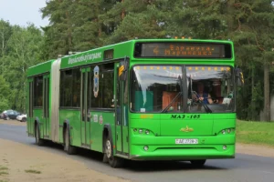 В Полоцке закрыли автобусную остановку «Педагогический колледж» почти для всех маршрутов