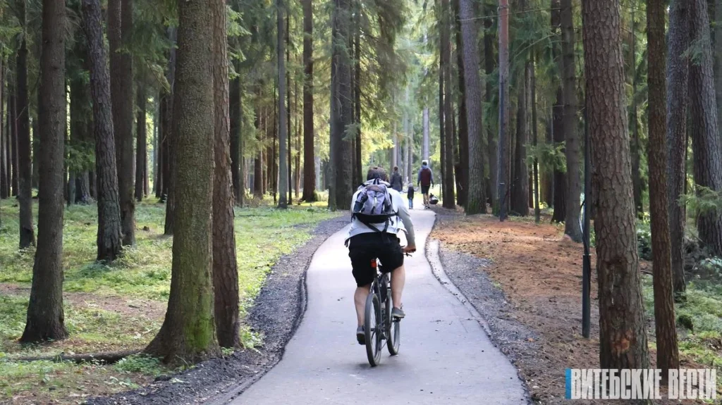 Новые зоны отдыха и спортплощадки: «Измерительский лес» в Новополоцке преображается