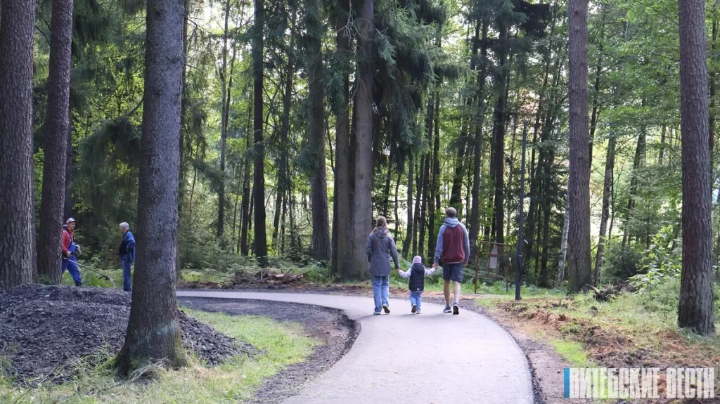 В Новополоцке откроют обновлённый «Измерительский лес»: турниры, мастер-классы и семейные забеги