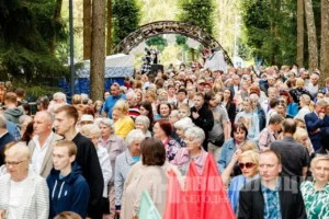 Фото https://t.me/novayaby