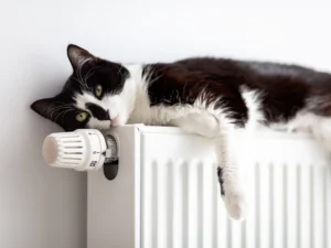 В Полоцке и районе начали подавать отопление в жилые дома