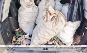 Фото https://t.me/ohranaby