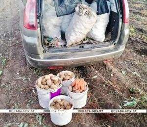 Фото https://t.me/ohranaby