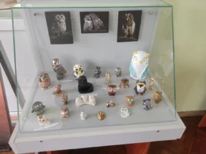 Фото http://novopolotsk-lib.by