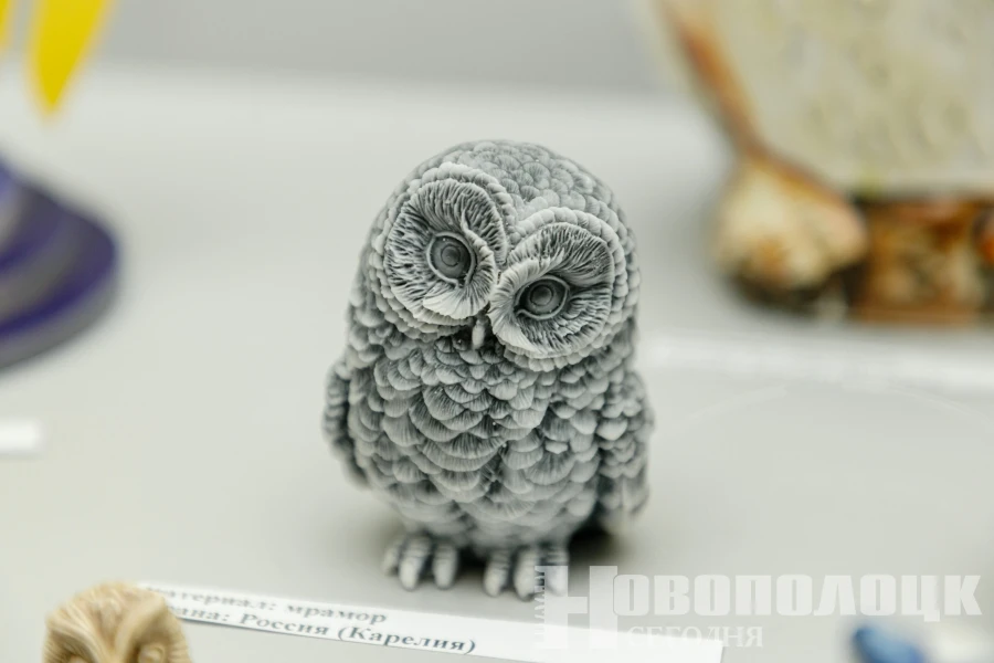 Больше сотни фигурок сов можно увидеть на выставке в Новополоцке