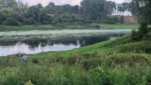 Река Западная Двина в Новополоцке позеленела: экологи объяснили причину