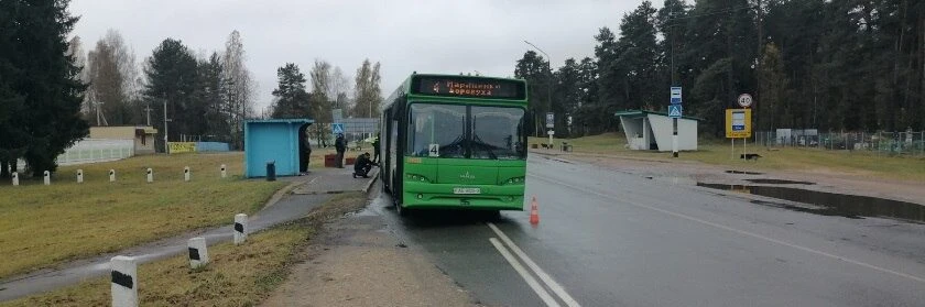 В Полоцке автобус насмерть сбил пожилую женщину — возбуждено уголовное дело