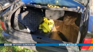 Трактористы из Полоцкого района похитили 200 литров топлива и попали под уголовное дело