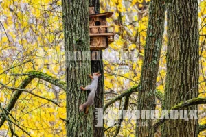 Фото https://t.me/novayaby